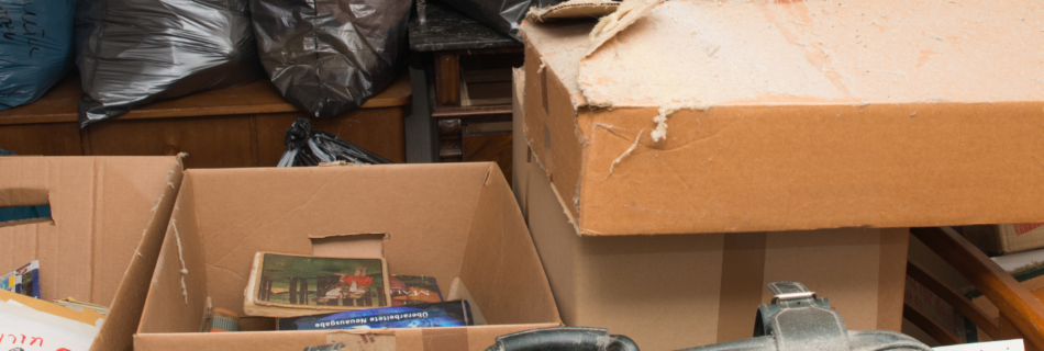 Tout ce que vous devez savoir sur le vide cave gratuit à Paris