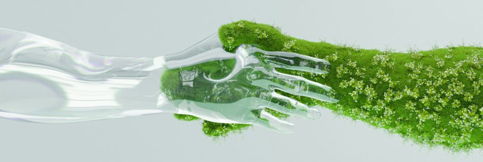 Débarras écoresponsable